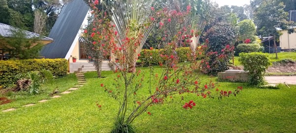Video 10