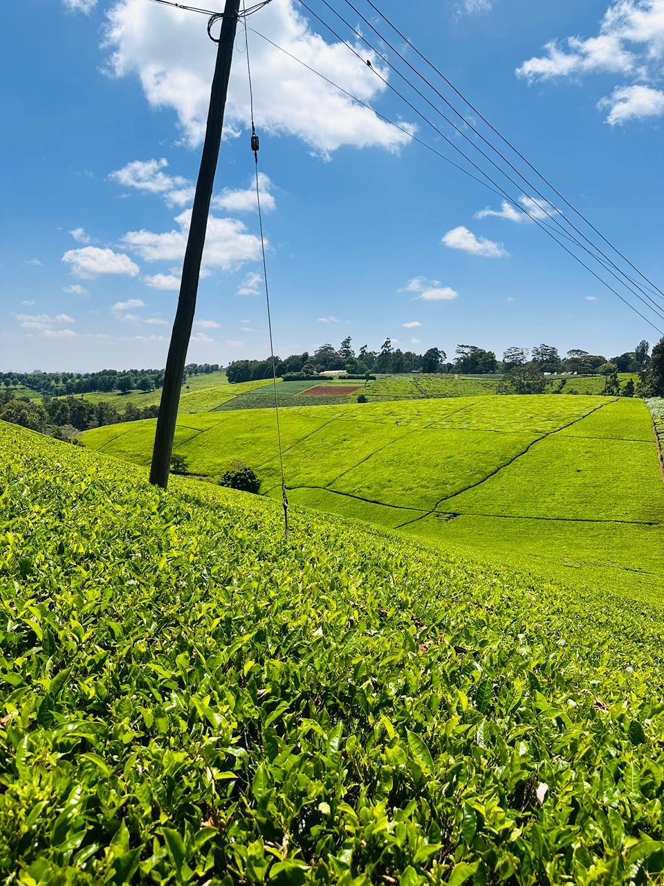 WhatsApp Image 2026-02-20 at 21.11.38 (1)