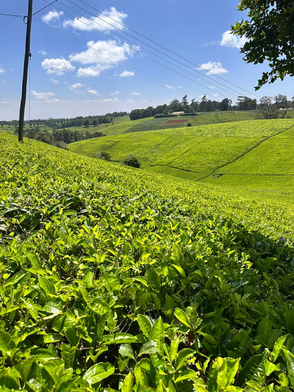 WhatsApp Image 2026-02-20 at 21.11.39 (1)