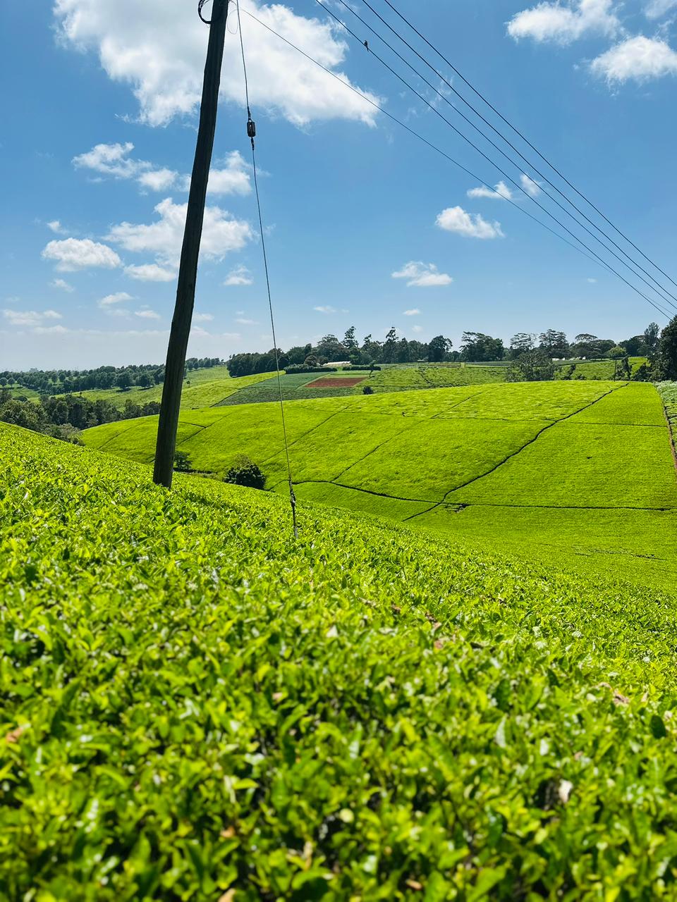 WhatsApp Image 2026-02-20 at 21.11.39 (2)