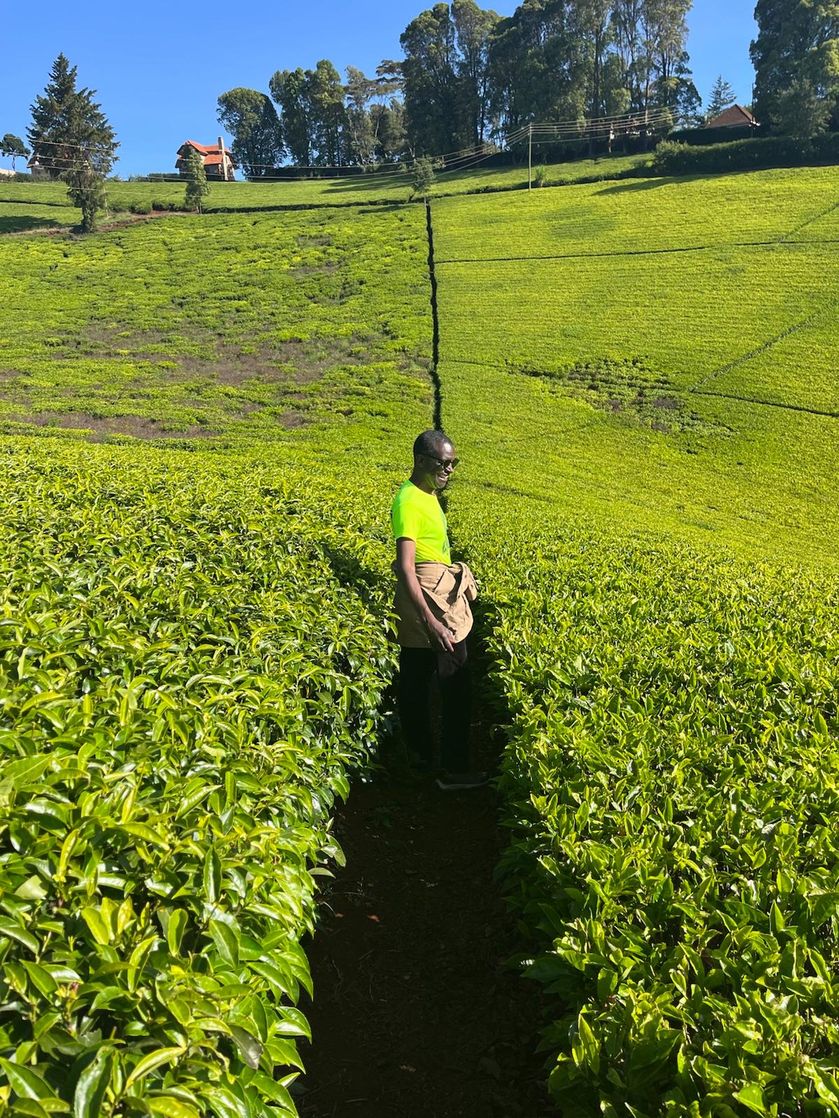 WhatsApp Image 2026-02-20 at 21.17.19 (3)