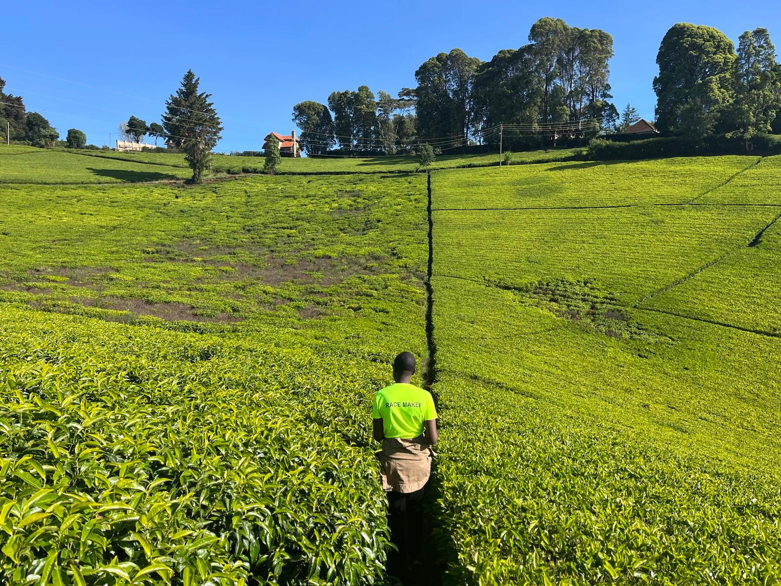 WhatsApp Image 2026-02-20 at 21.17.19 (4)