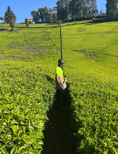 WhatsApp Image 2026-02-20 at 21.17.19 (3)