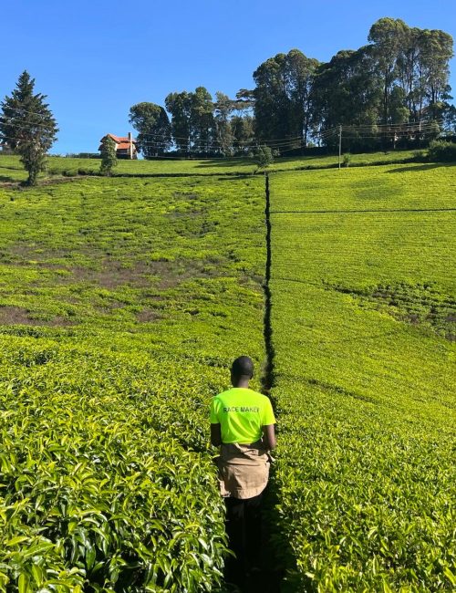 WhatsApp Image 2026-02-20 at 21.17.19 (4)