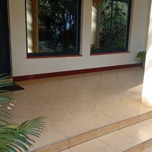 WhatsApp Image 2026-02-20 at 21.51.30