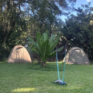 WhatsApp Image 2026-02-20 at 22.18.34